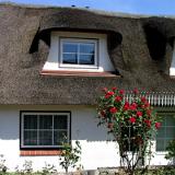 0506G 19 Amrum